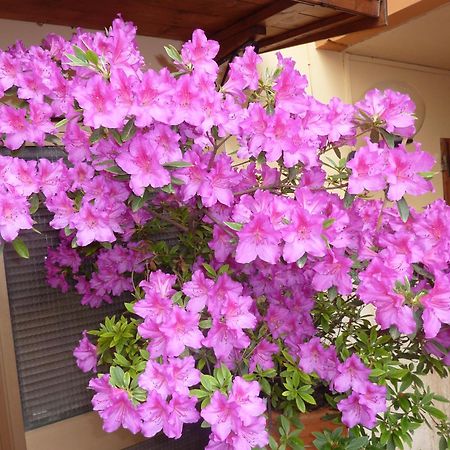 Primettahouse Hotel San Gimignano Ngoại thất bức ảnh